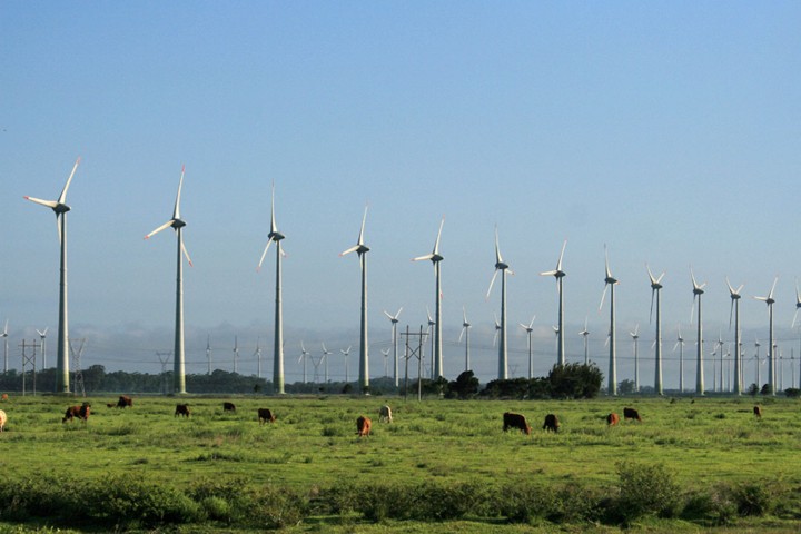 Medio Ambiente